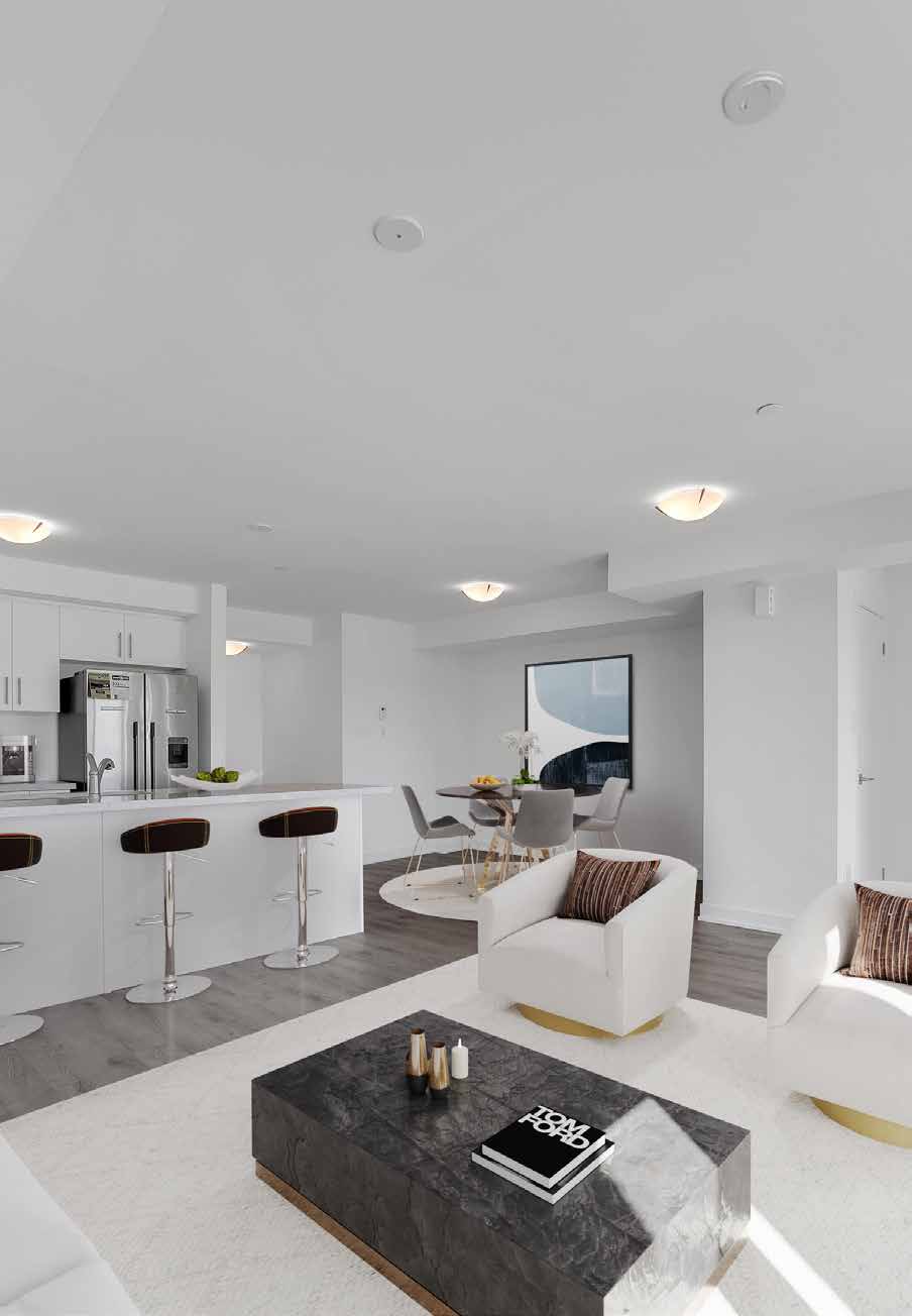 Open concept kitchen and living area